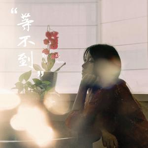 最新一本之道波多野结衣
